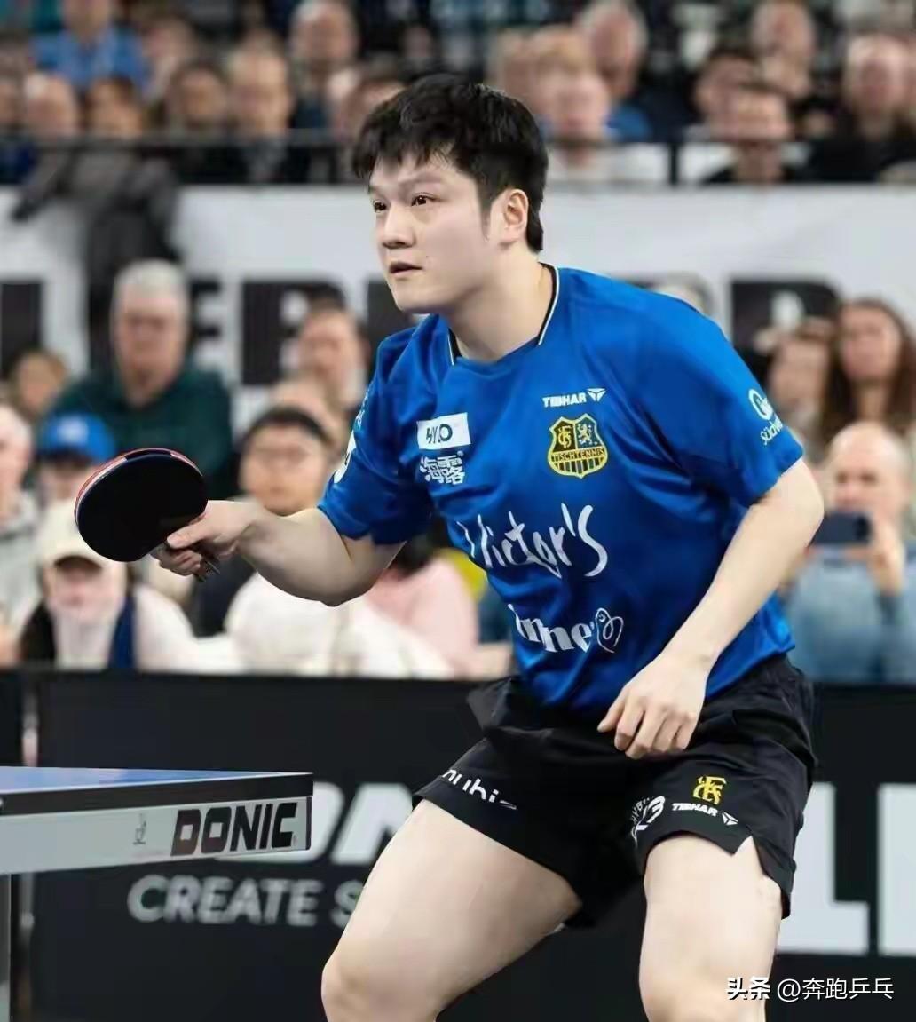 大家都放心吧，樊振东一定会回来的。最近，樊振东的新东家杜塞尔多夫接受采访时表示: