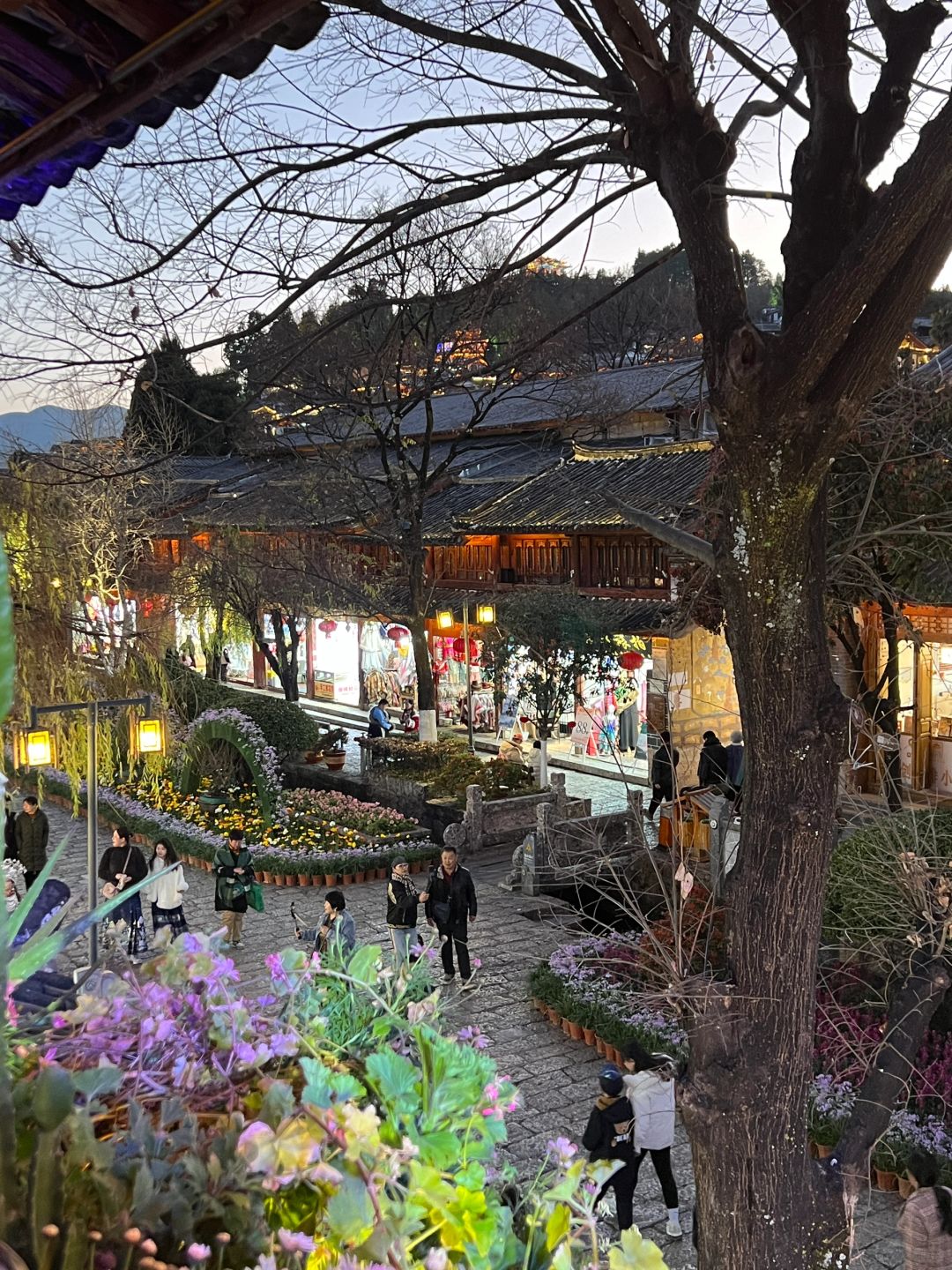 在丽江！真的可以随时吃菌子～