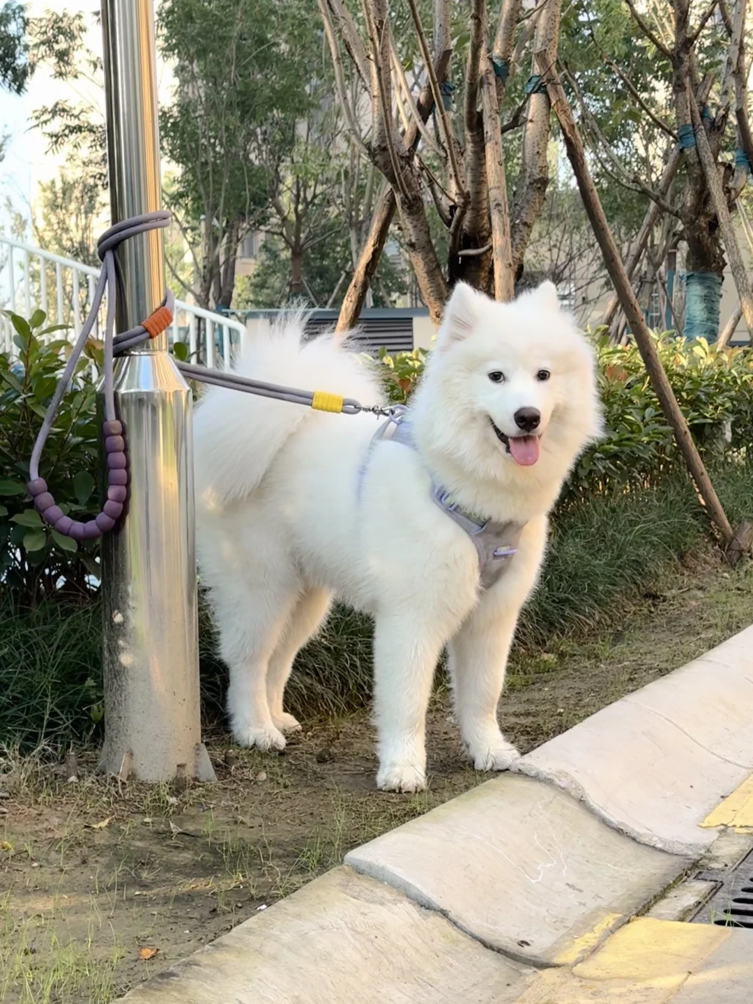 咱就是说往那一站就是个兵！