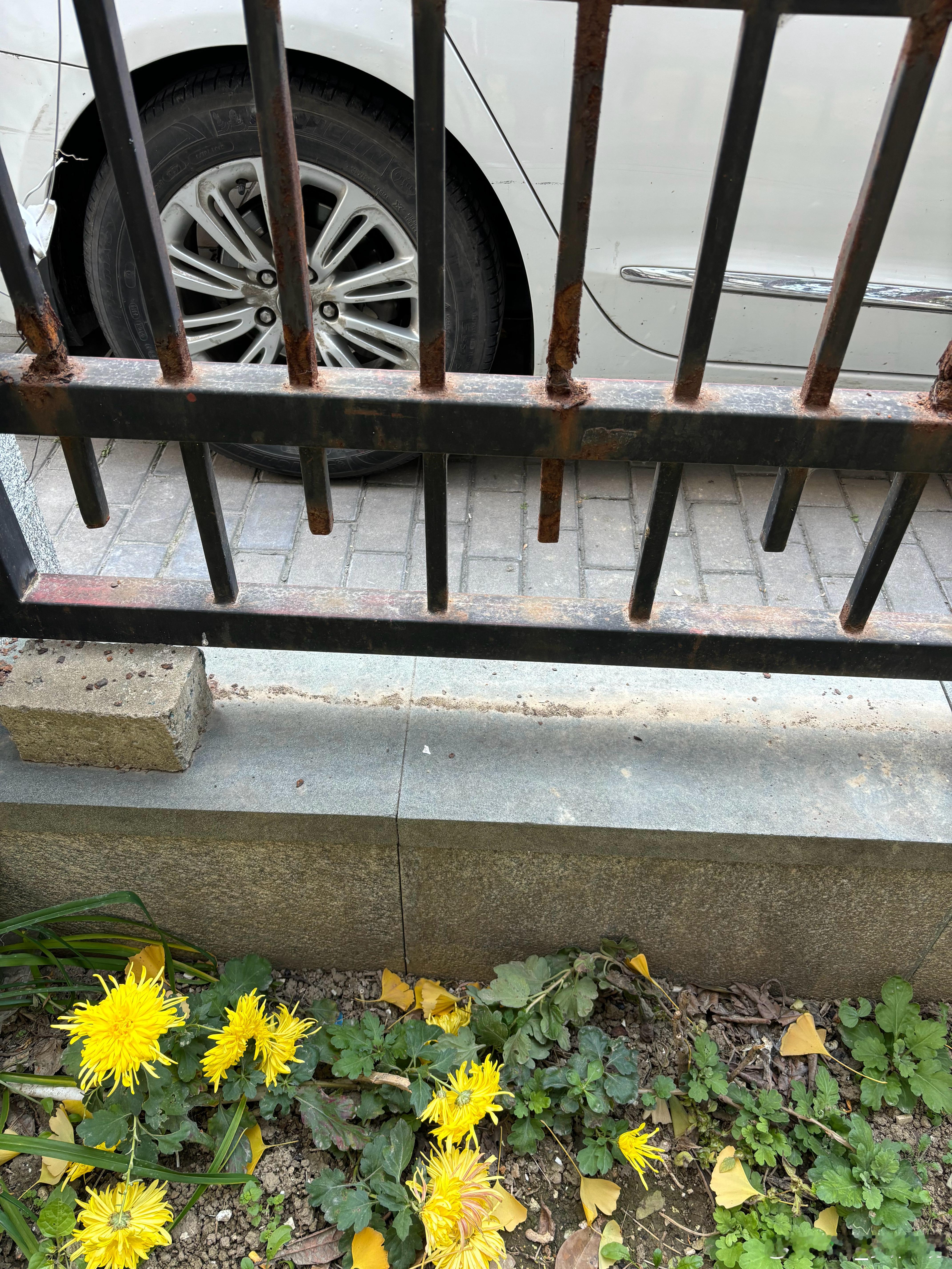 每天就这么隔着围栏买饭和拿快递 