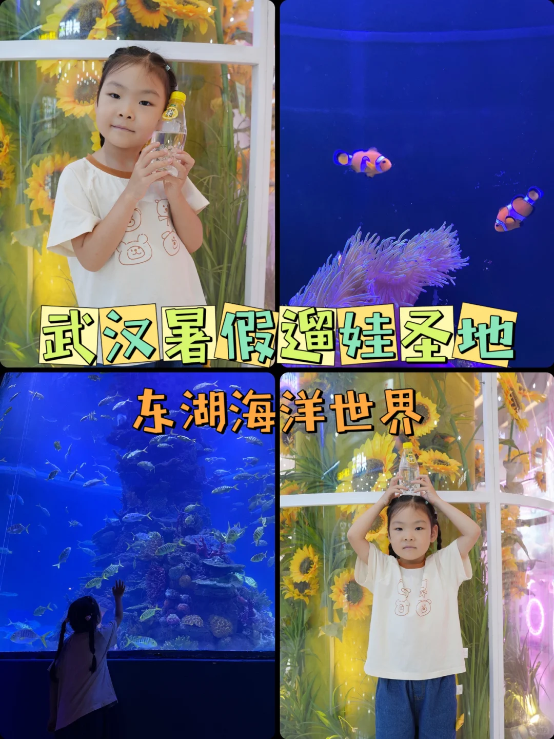 每年暑假都要来的武汉东湖海洋世界