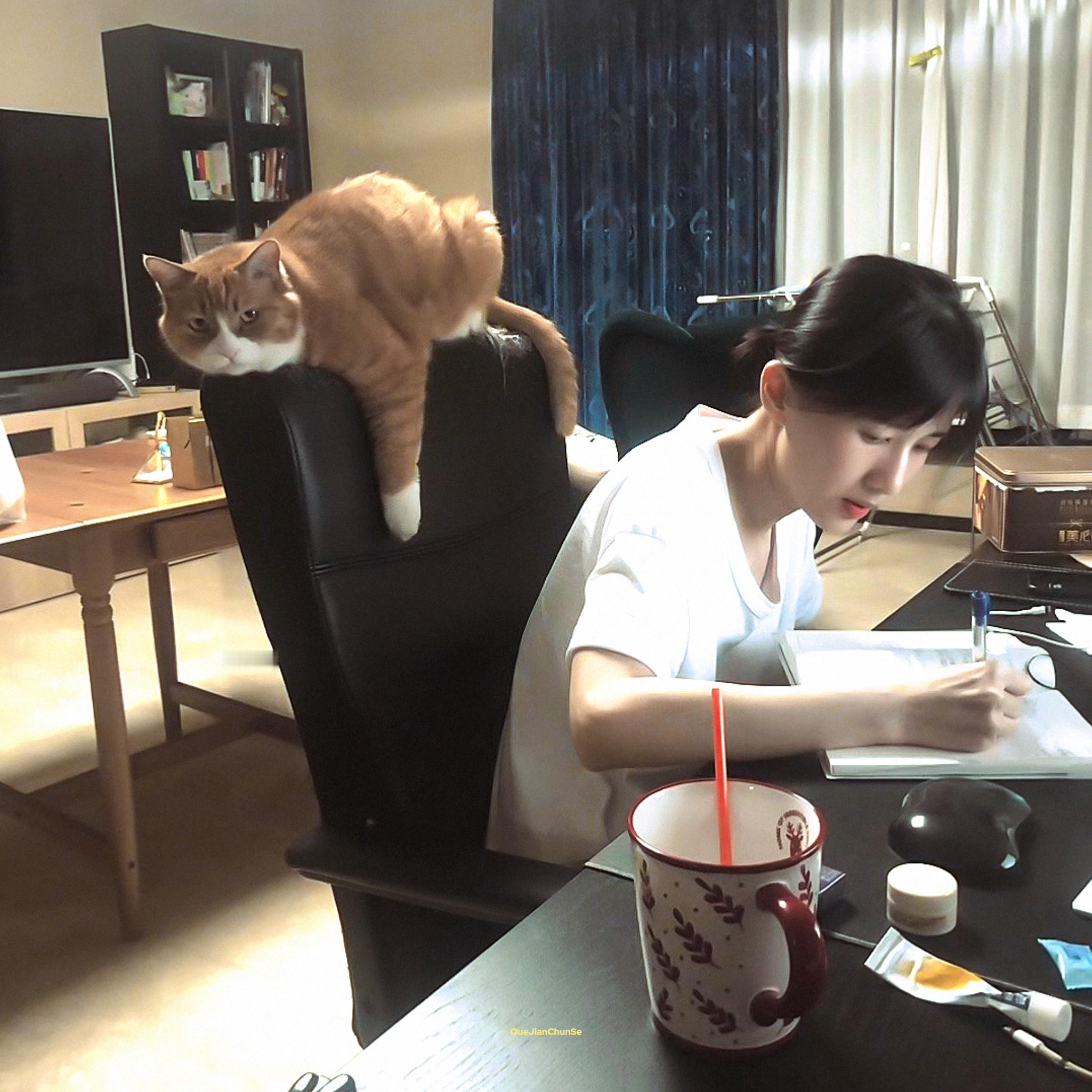 papi和她的大小咪🐈🐱 