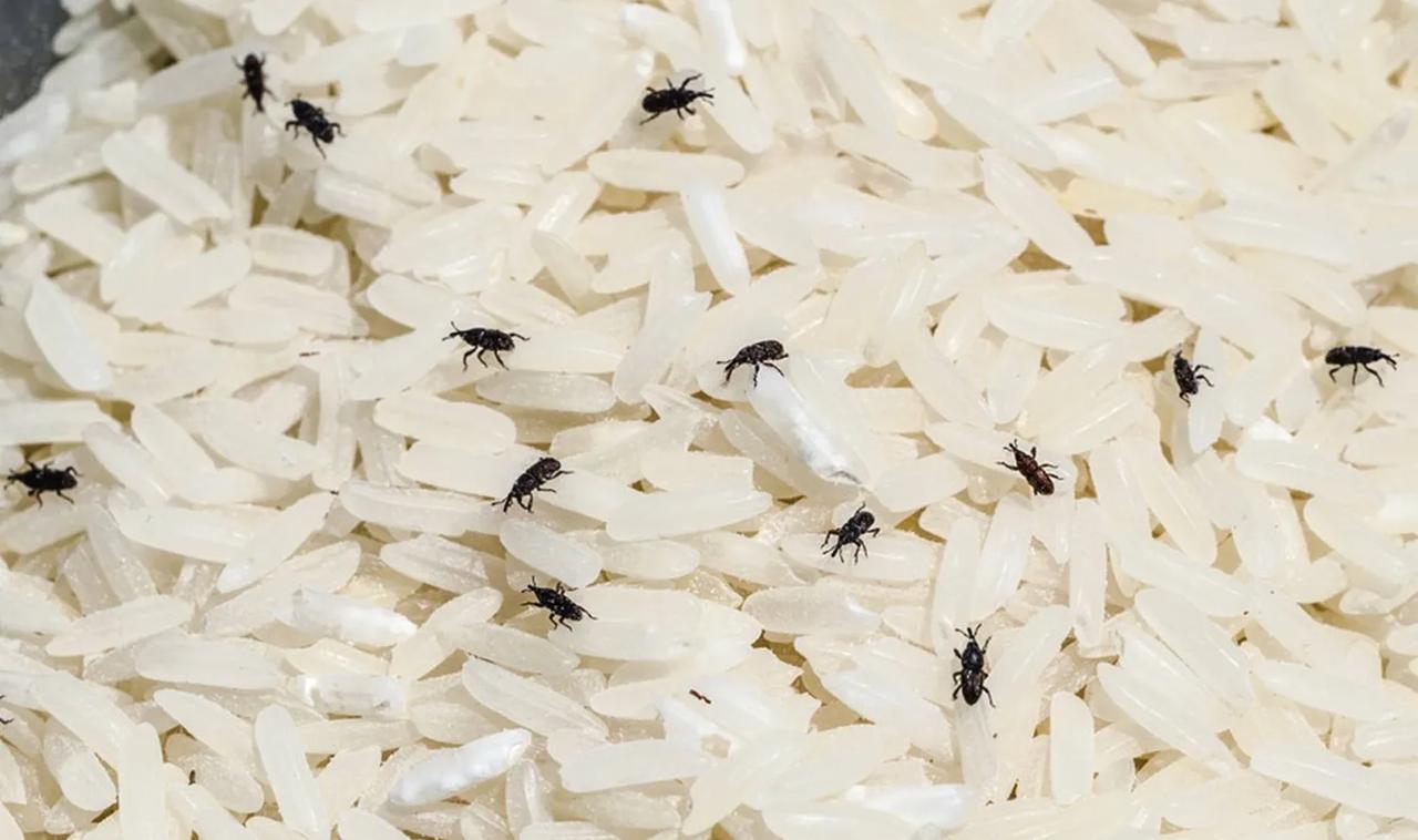哪种调料和食品里没有食品添加剂?
谁告诉你什么调料食品天添加剂都是忽悠你！
农民