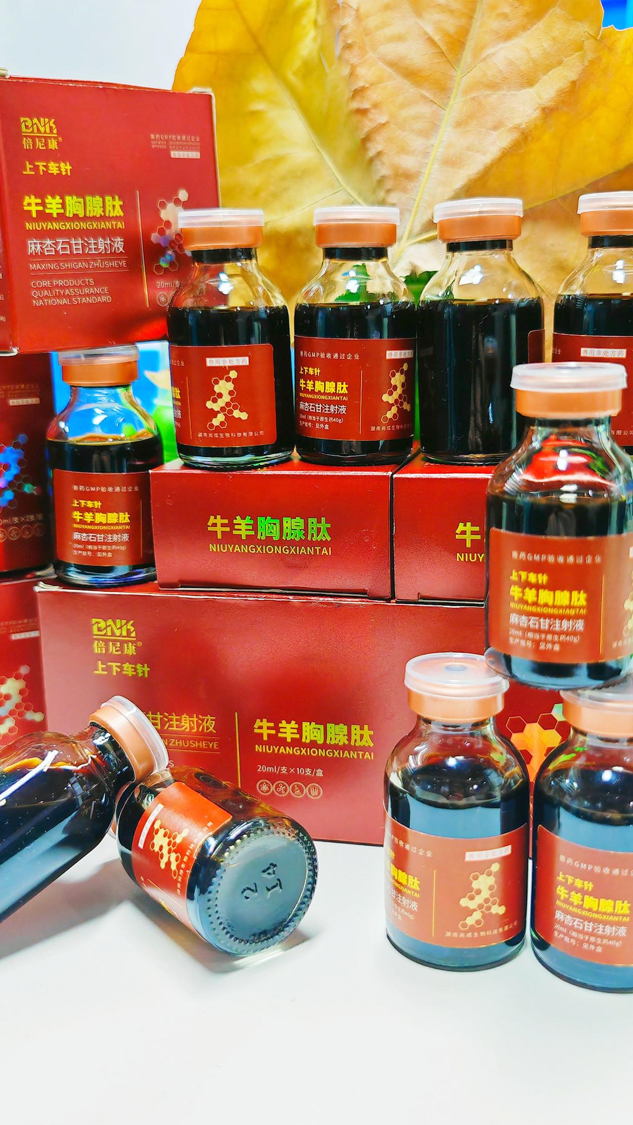 养羊人 牛羊养殖 农村养羊