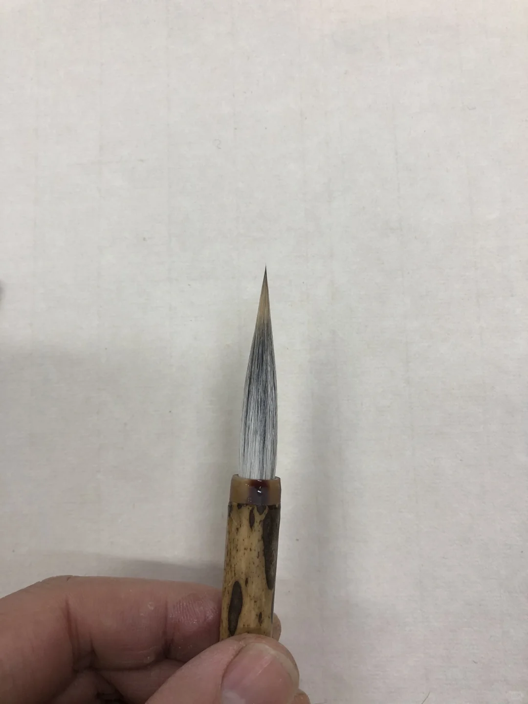 6厘米长珍珠尖，兔子背上最长的毛