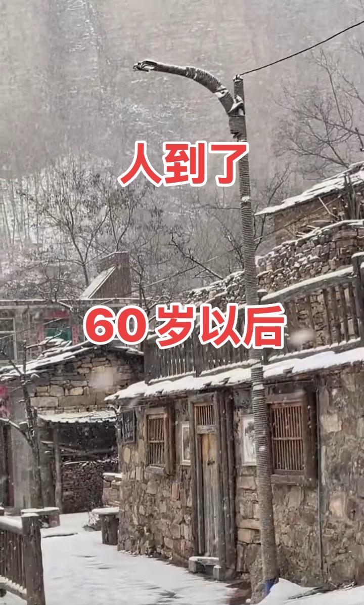 下雪 乡村生活 我的家乡 农村生活记录 古民居建筑