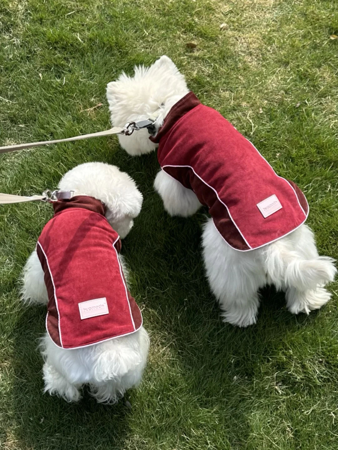 一家人蕞重要的就是整整齐齐🧧