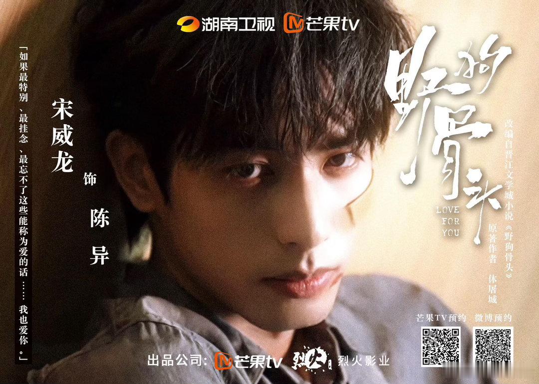 宋威龙一天官宣两部上星剧野狗骨头事业粉直接狂喜！单日解锁双台重磅上星剧，《野狗骨