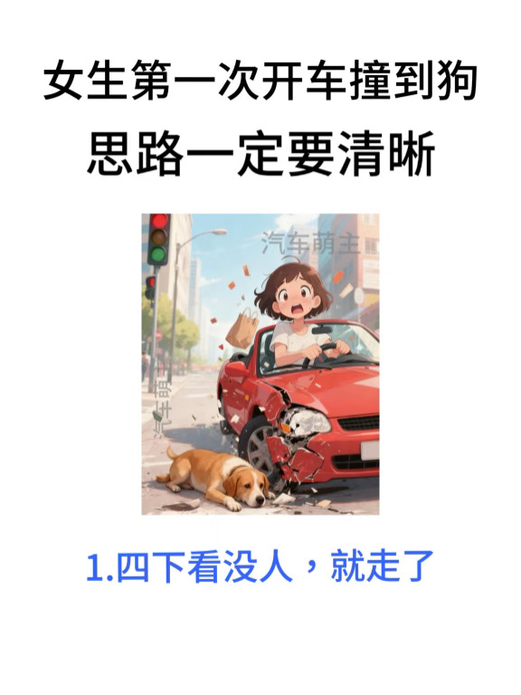 女生开车必知｜开车撞到狗怎么办