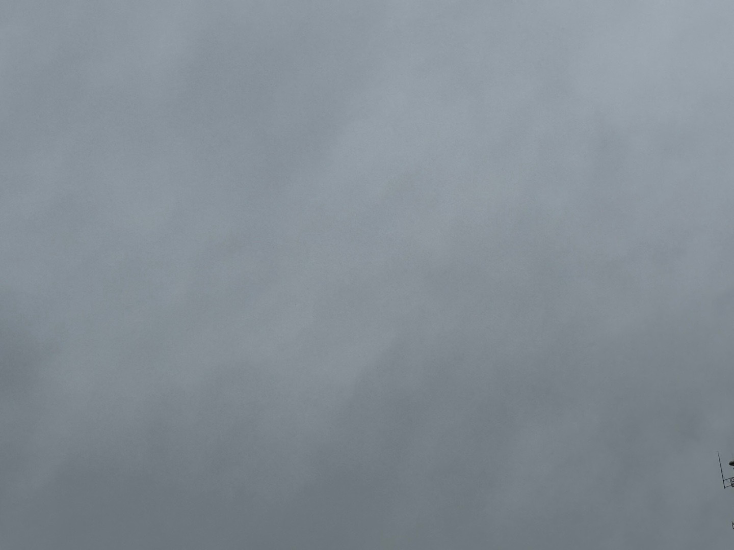 雨是踩着细碎的步子来的。起初只是几点星子，轻飘飘地落在窗玻璃上，晕开一小圈透明的