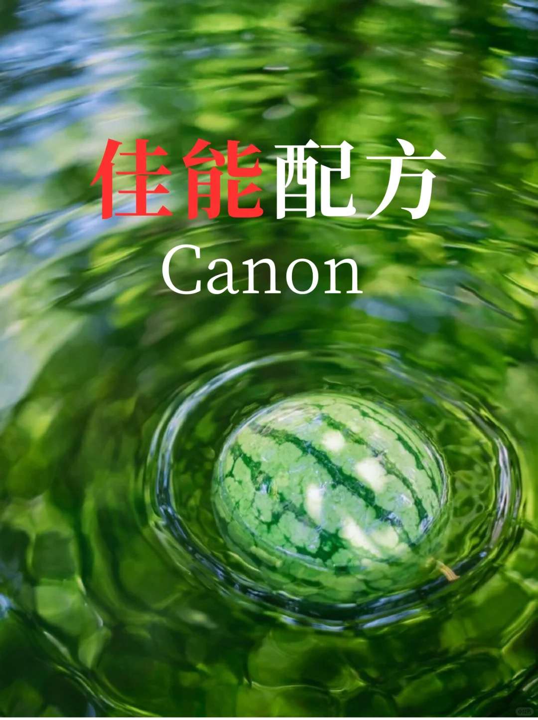 Canon｜佳能用户都给我学！参数配方来啦