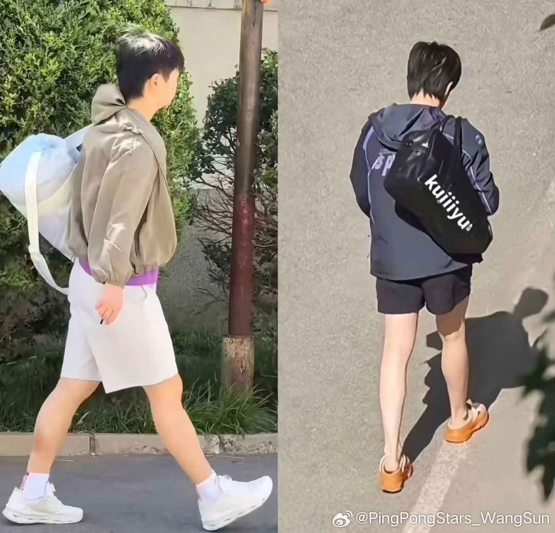 哥姐好久不见王楚钦孙颖莎