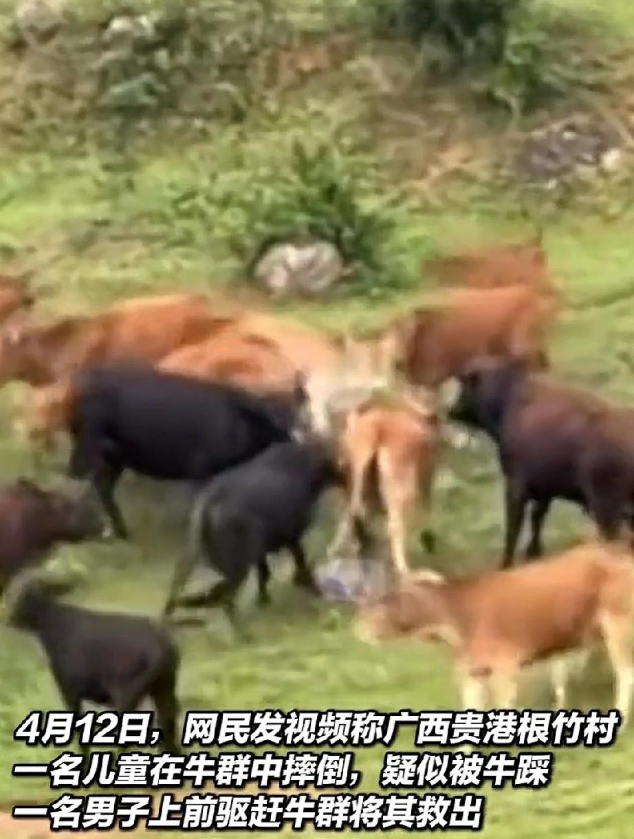 清明时节春光明媚，正是去郊外踏青的好时机。家长们在带孩子去郊游时，一定要注意孩子