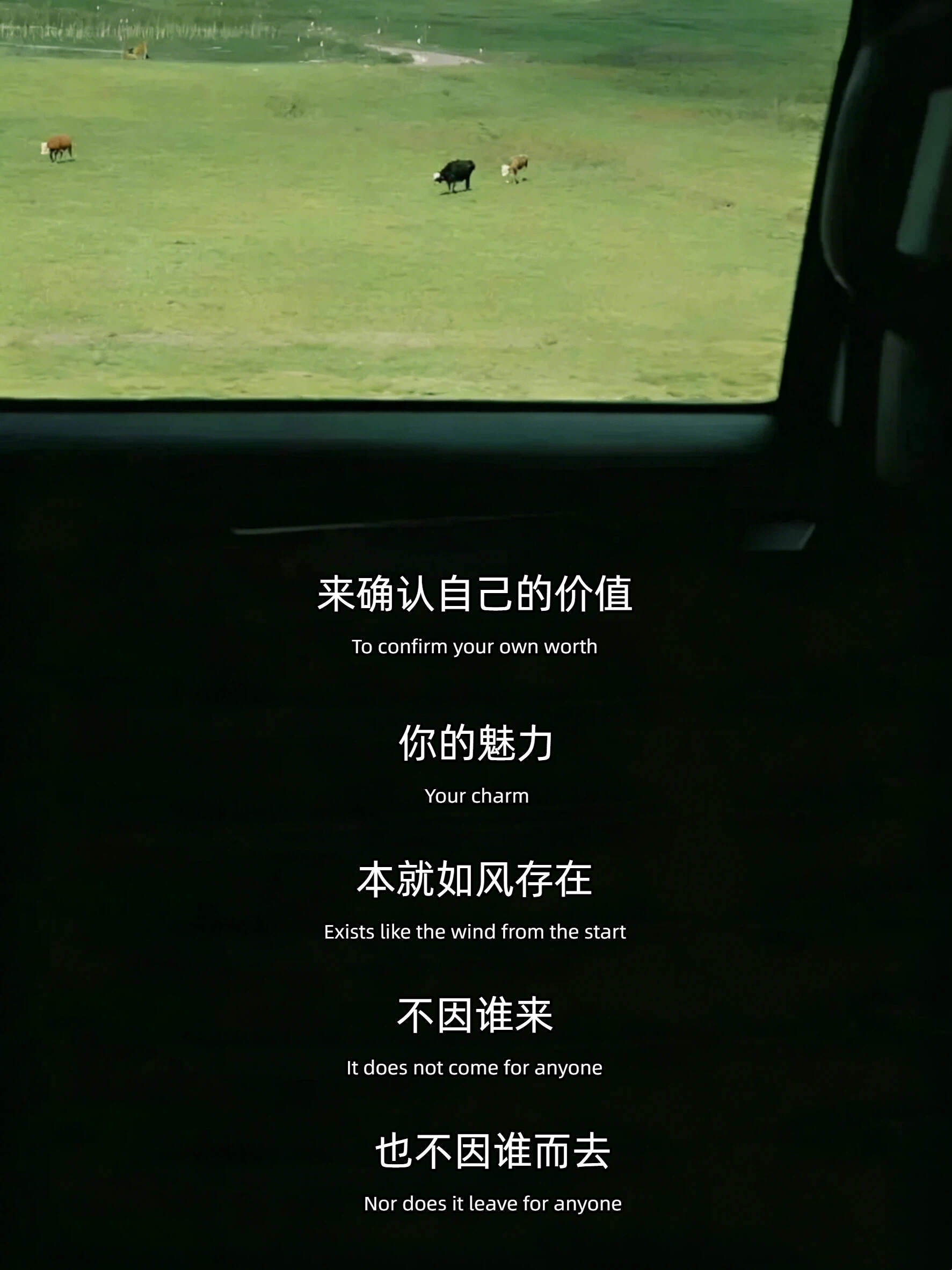 这段话好通透啊 