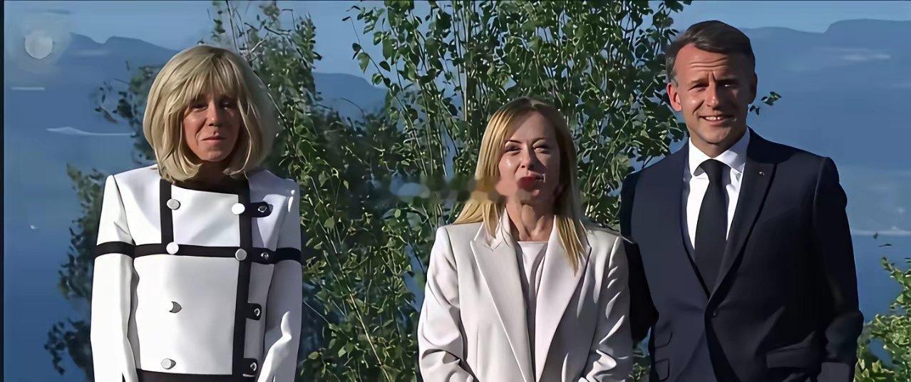 马克龙的老婆头发看着太假了，是不是假发？怎么像个帽子一样扣在头上？ 