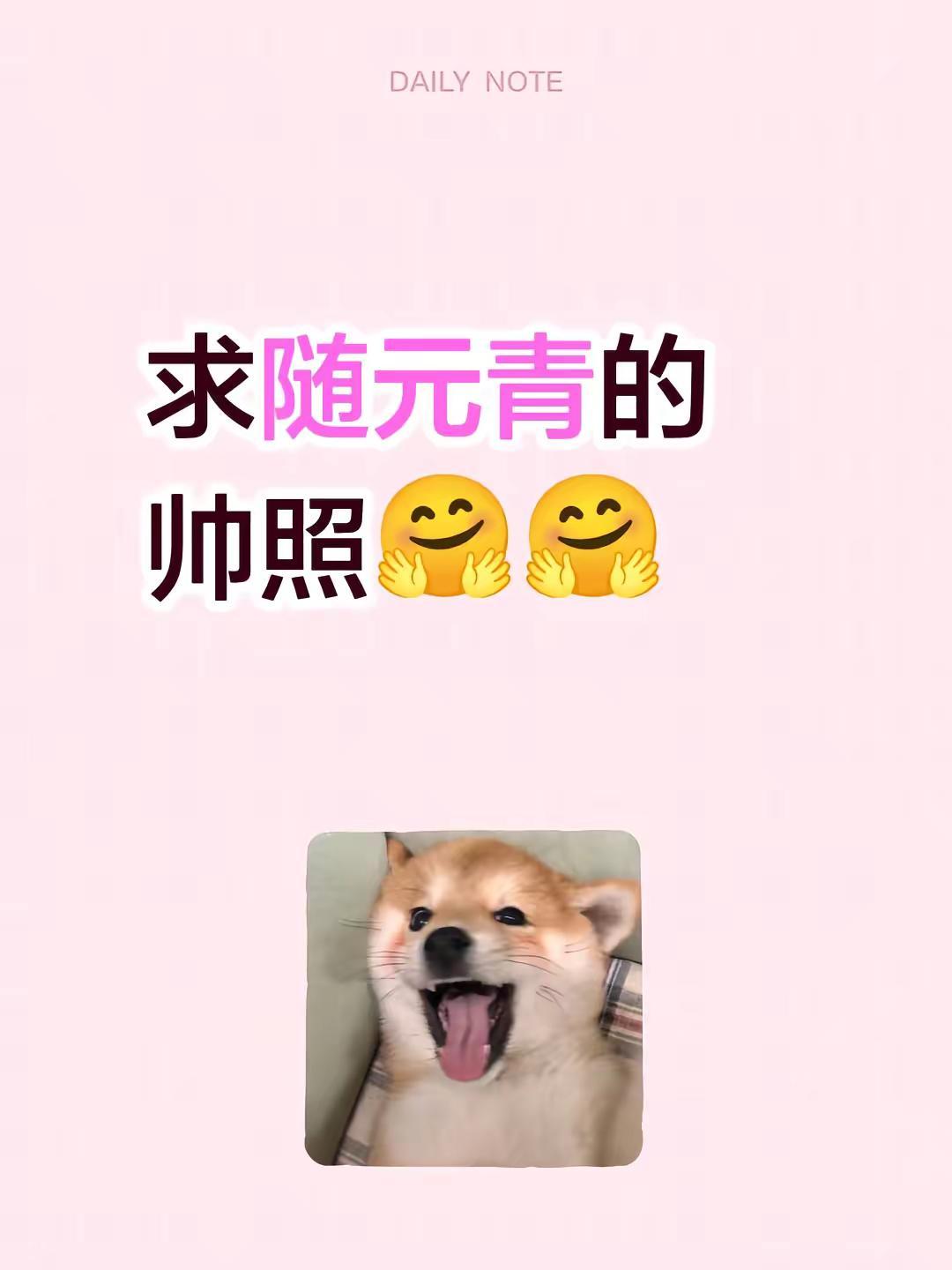 求随元青的帅照🤗🤗逐玉