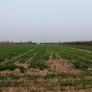 走在城市的边缘