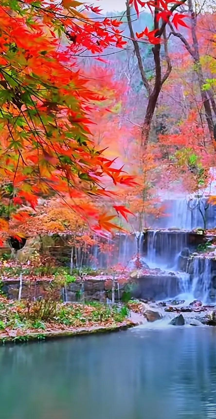 这段时间我经常抽空去头条串串门，结果我发现一个奇怪现象。也不知道大家感觉到没？