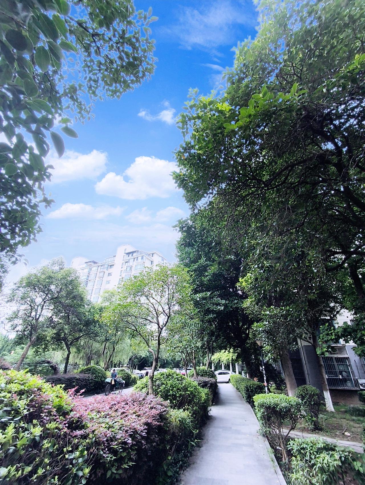 听说位于菲律宾以东的热带扰动，马上就要搞出大动静了。预计24小时内会加强成热带低