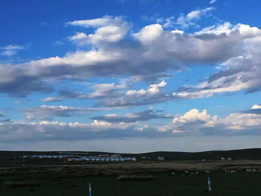 长路没有尽头，天地不设牢笼，得失都是执念的枷锁。莫莉艺术
