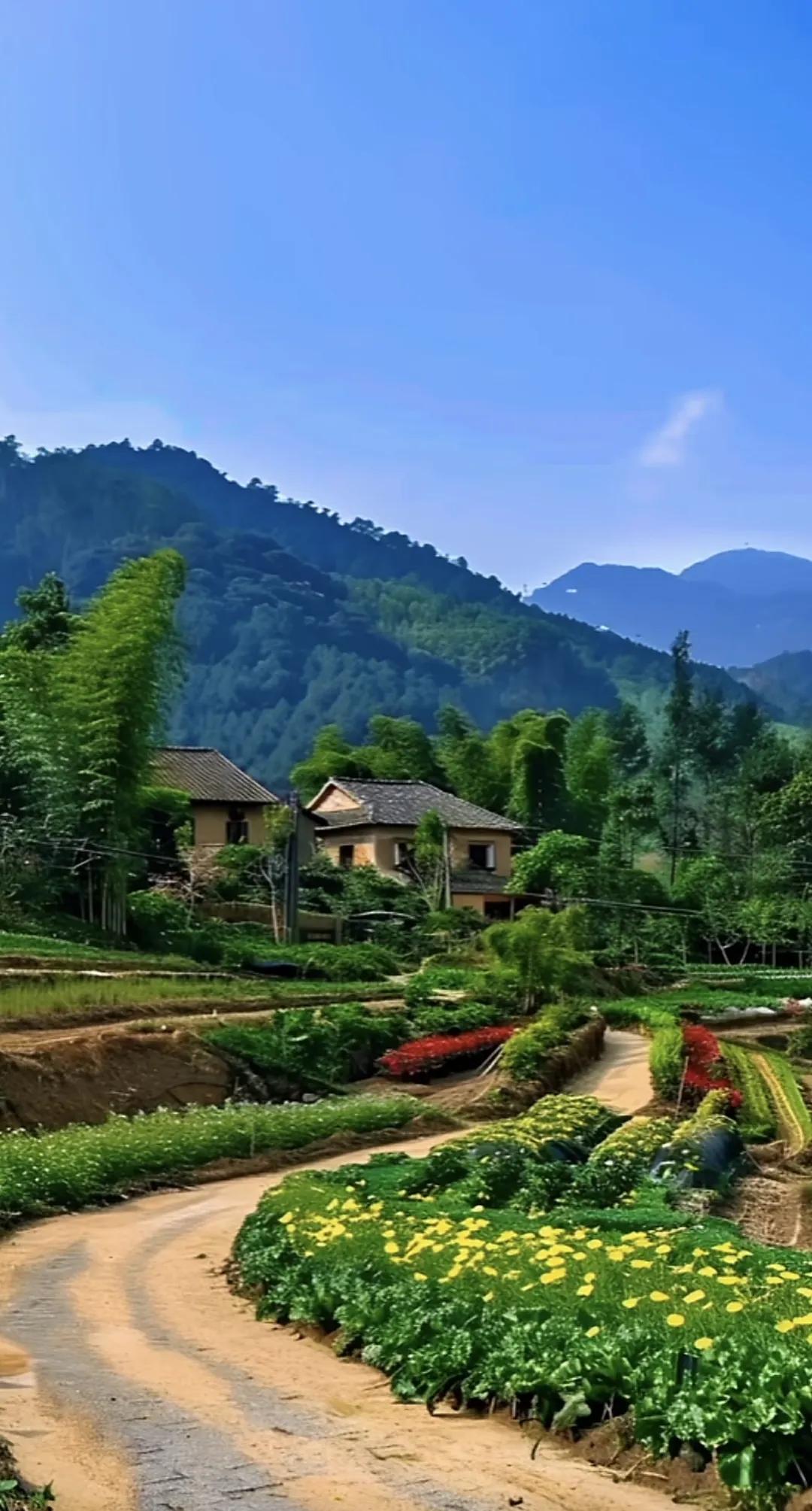 脸上有微笑，心中有阳光，眼里有风景，这就是我的乡村生活风景 最爱农村风景 愿农村