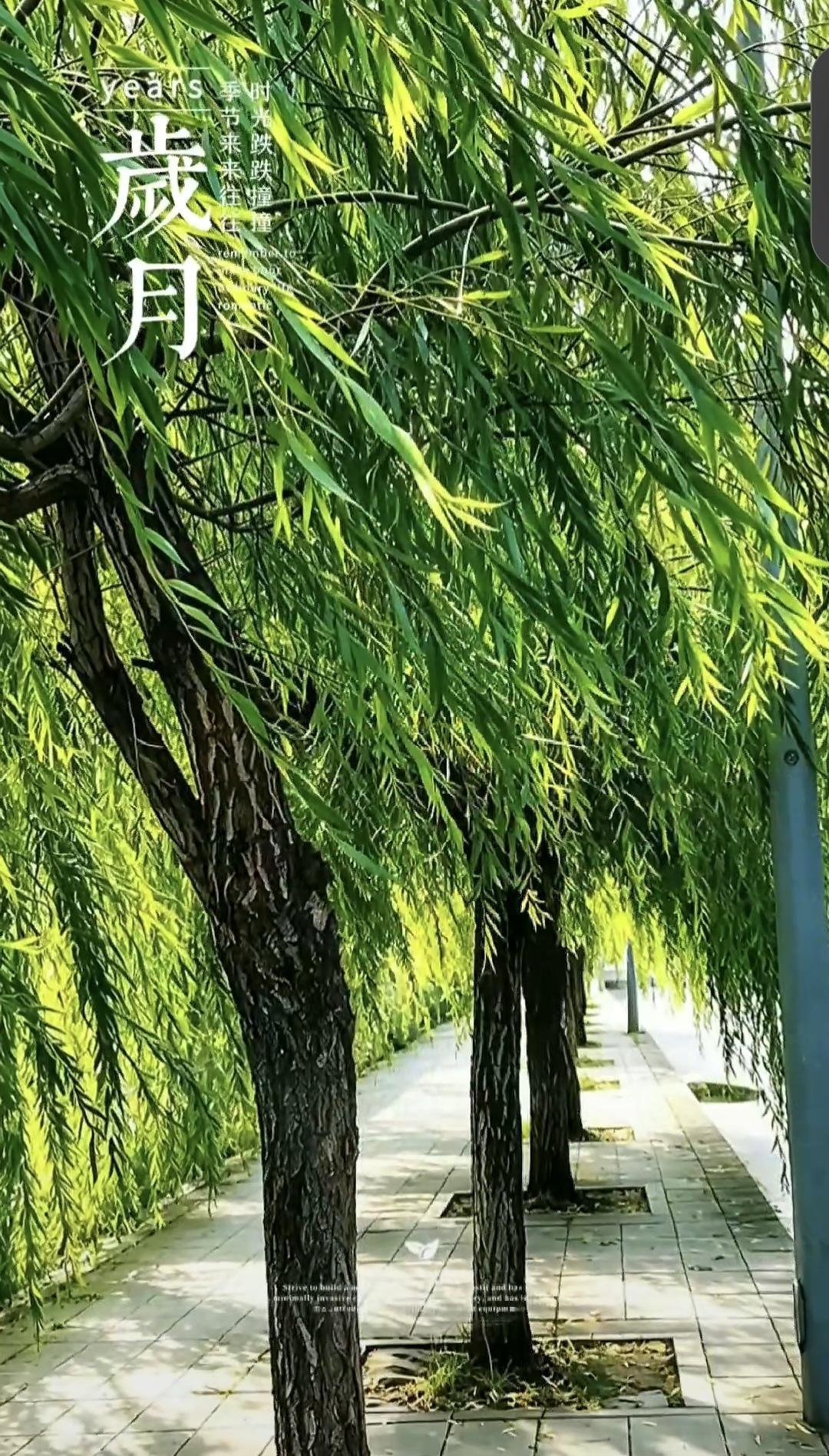 你有没有发现，老婆走了之后，要是男人工资高，身后总会跟着一群女人争着抢着。要是无