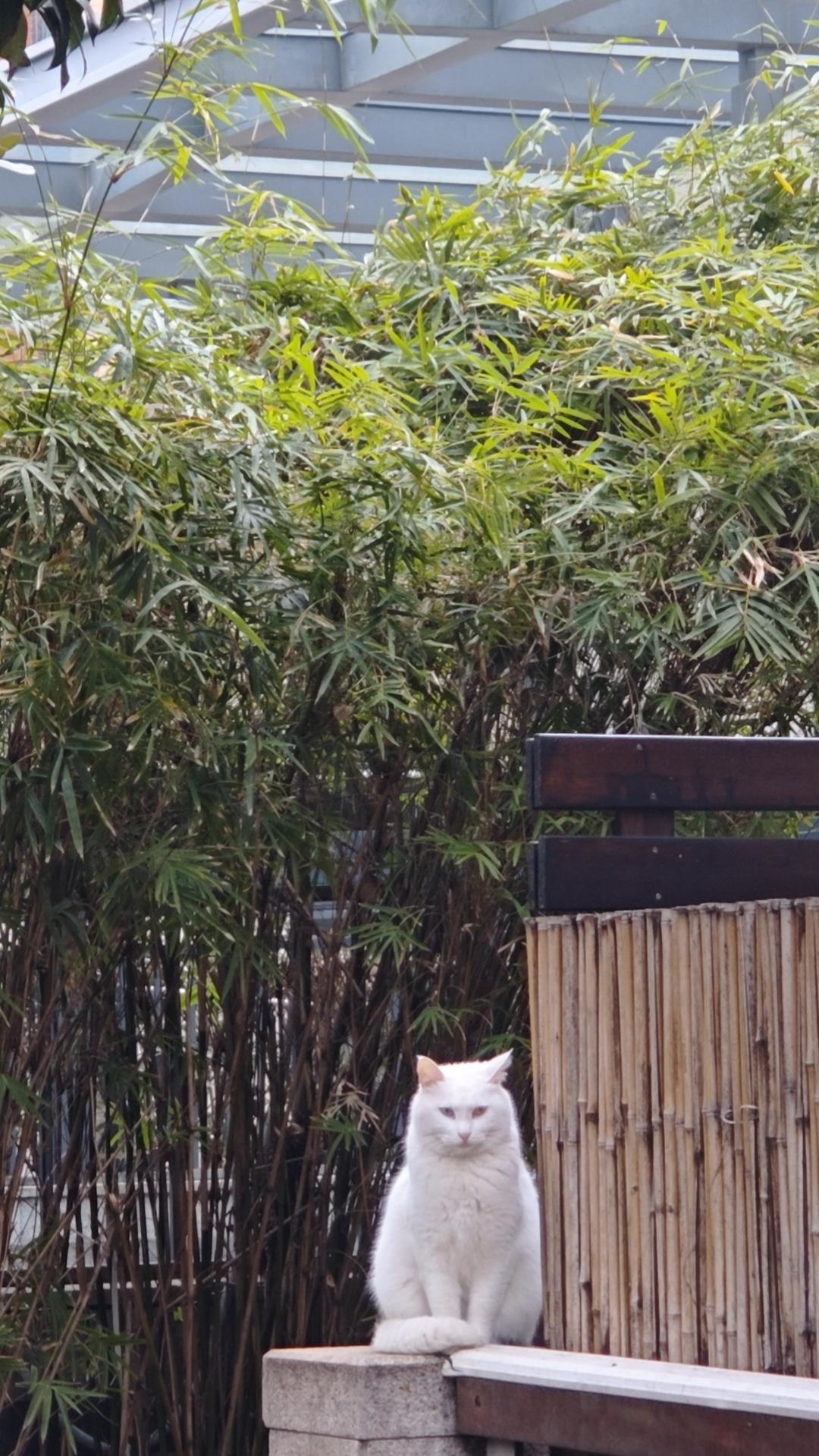 我说，年轻人应该去南方经济发达地区，有人反驳我，都去南方了，北方谁来建设？不能眼