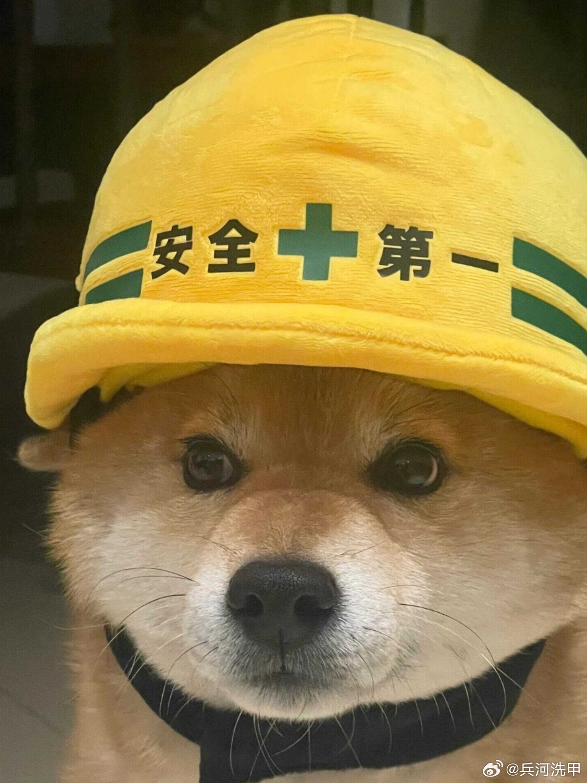 不顾安全的畸形打卡热该消停了网红地点打卡，网红为了流量，普通人就是凑热闹，真的没