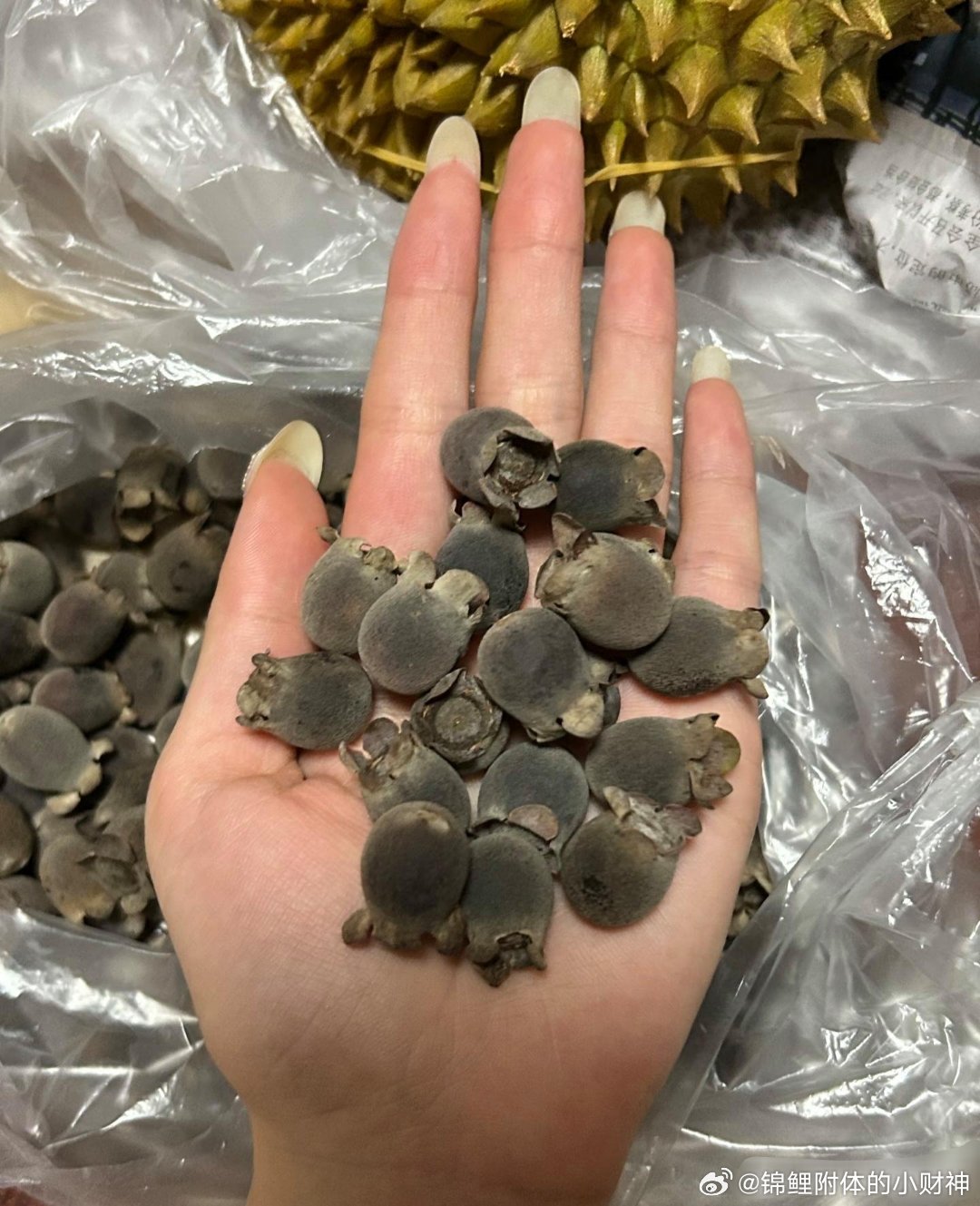 有人知道这个是什么嘛！！第一次见诶，好像是野果，里面红红的有和火龙果一样的籽！ 