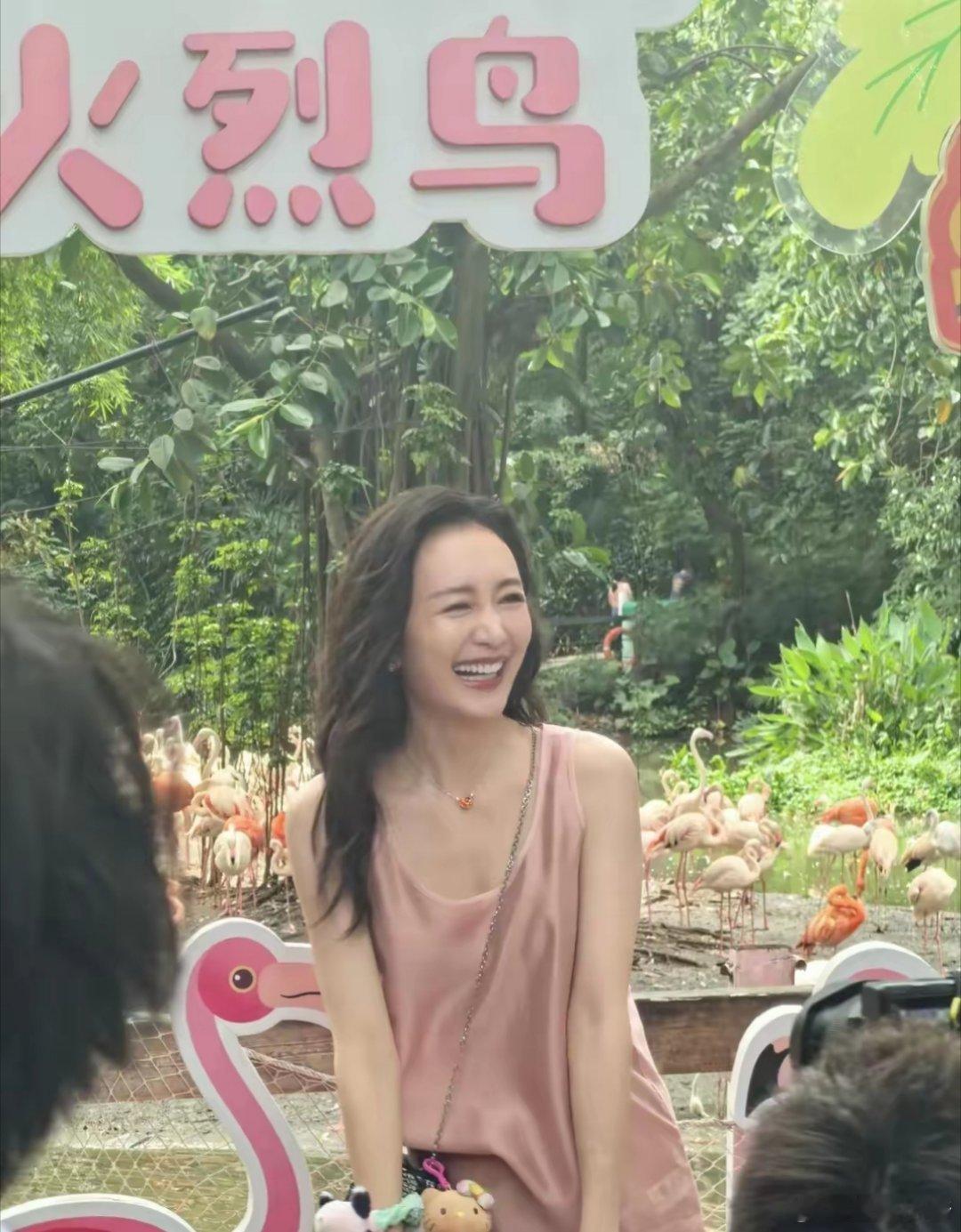 网友长隆野生动物园偶遇王鸥，穿粉色套装优雅气质 42岁美得似24岁 ​​​
