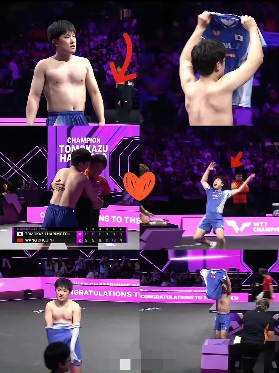 张本智和终于懂了，
​他不是中国人，也不是日本人。他是蝙蝠。