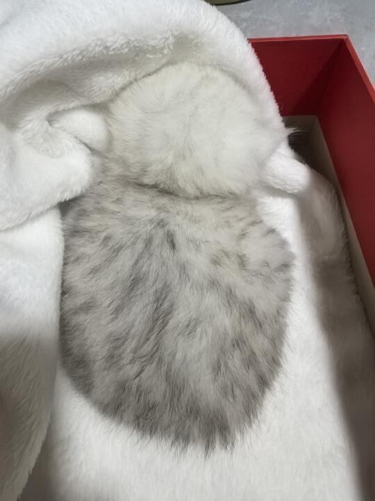 想看看大家的银渐层