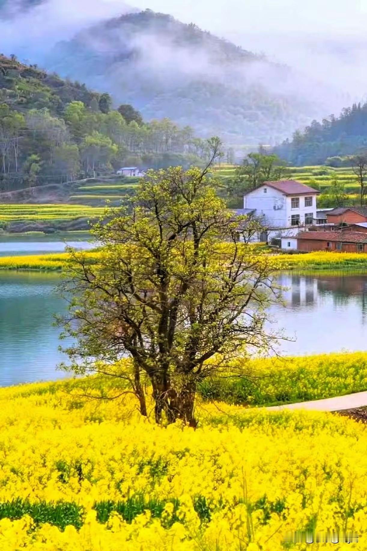 人活通透的十大标准，缺一不可
 
1. 情绪自洽，不内耗、不纠结
 
不为小事耿