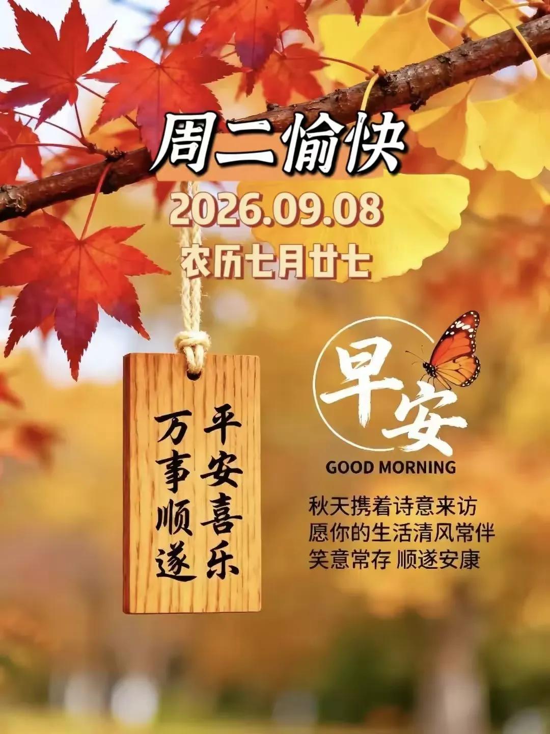 晨光温柔，秋风渐起，今天是9月8日，农历七月二十七，白露过后，正式开始进入仲秋，