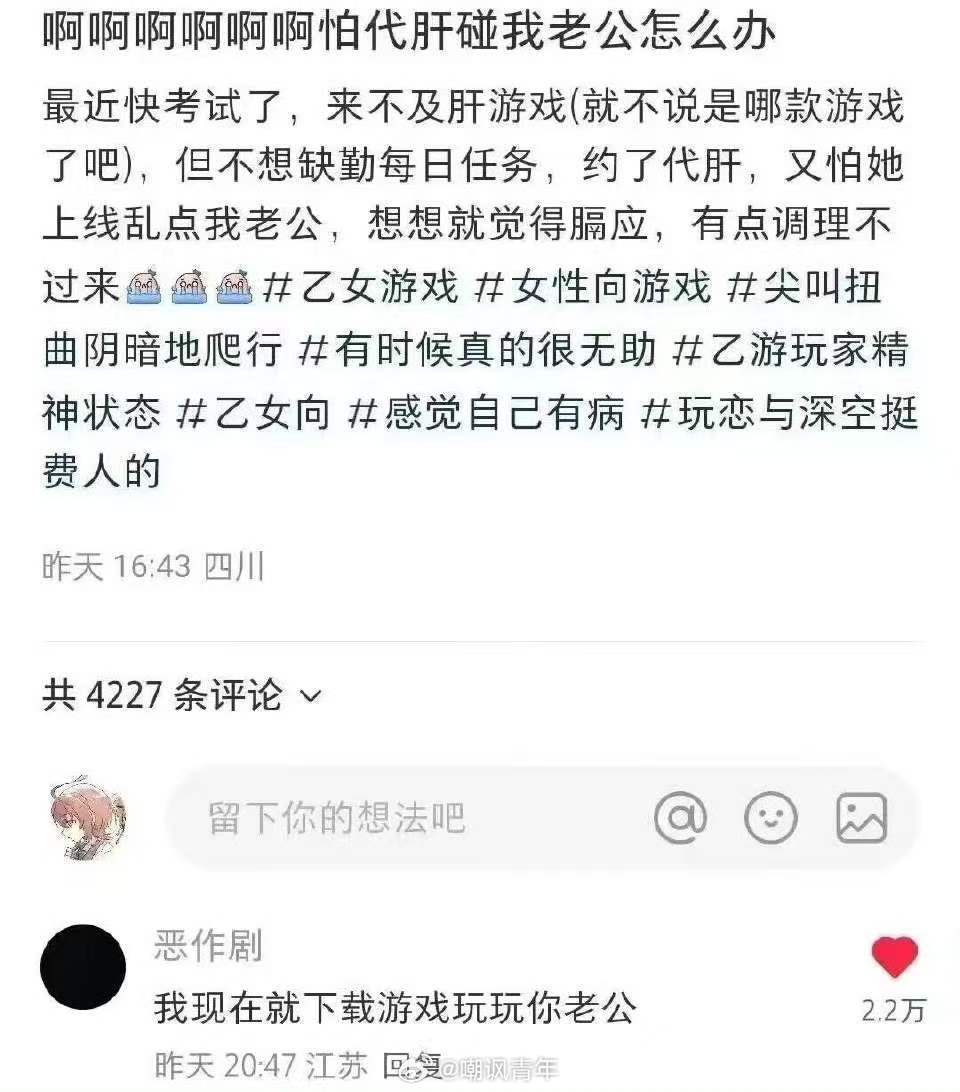无能的妻子乙游
