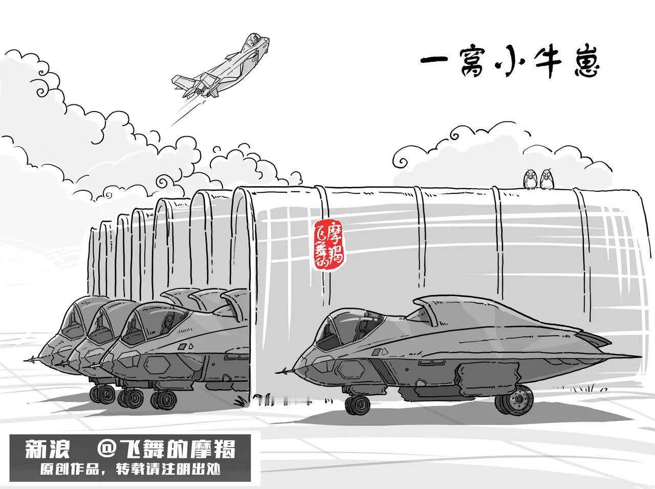 一窝的J36幼崽[笑]。看图片机库内外、天上一共5架南六。回顾2015年，J20