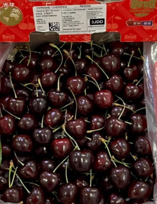65.5万吨智利车厘子运往中国，好像这车厘子专为中国人种植的，为什么智利当地人不
