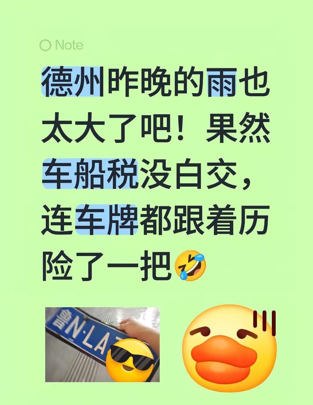 德州昨晚的雨也太大了吧！果然车船税没白交，连车牌都跟着历险了一把🤣山东德州 德