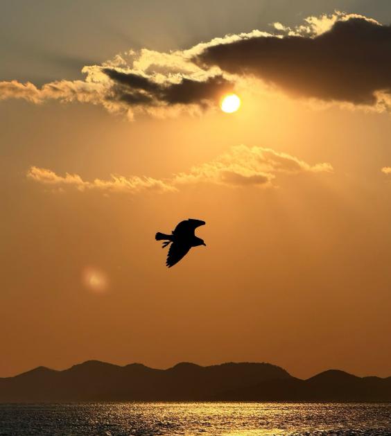 美国用行动告诉全世界，什么叫做“霸权”，第一就是派出军队入侵一个国家，第二就是抓