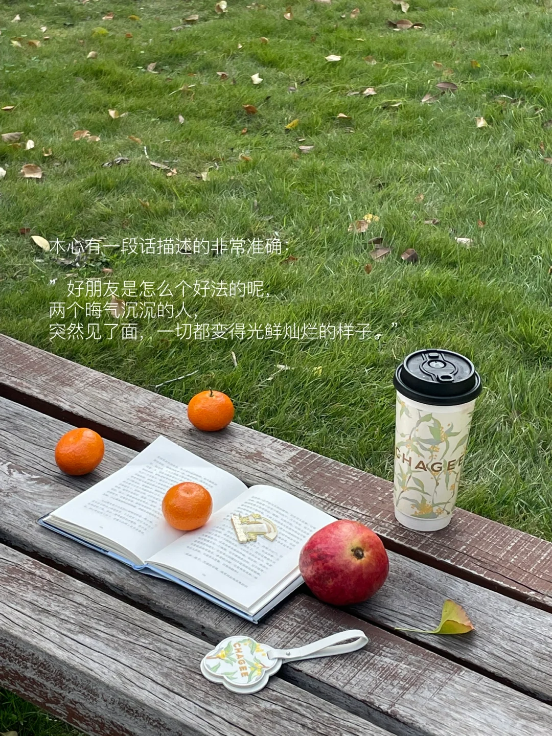 和好朋友见面，散步，在公园长椅发呆。