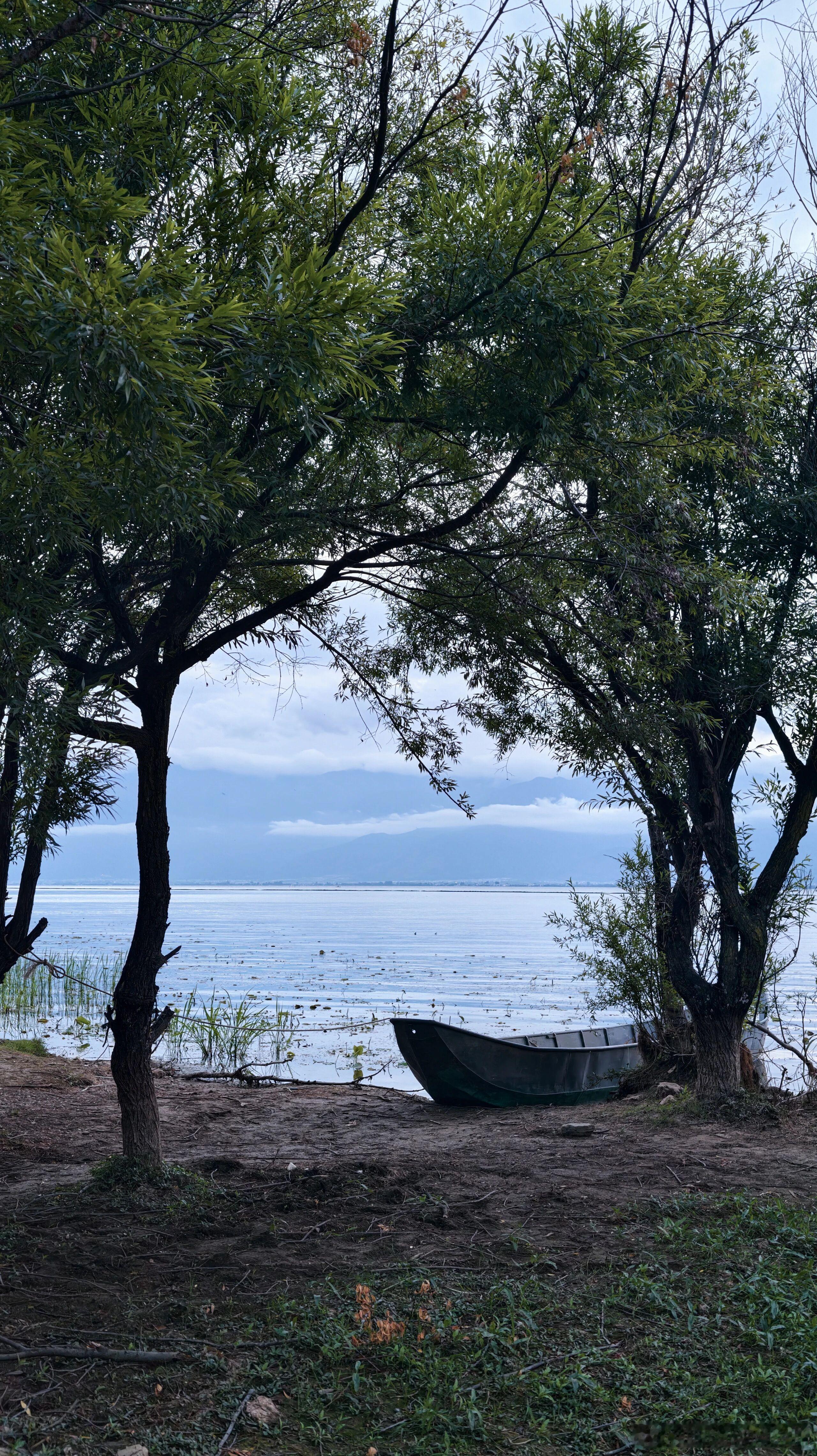 应该会很想念在海边发呆的时刻 大理·洱海