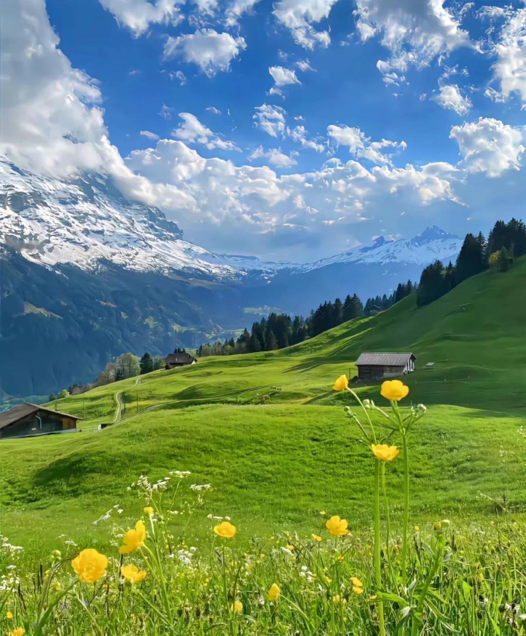 成长就是克服内心的恐惧去做那些让自己害怕的事情，只要勇敢地跨出那一步，就能收获崭