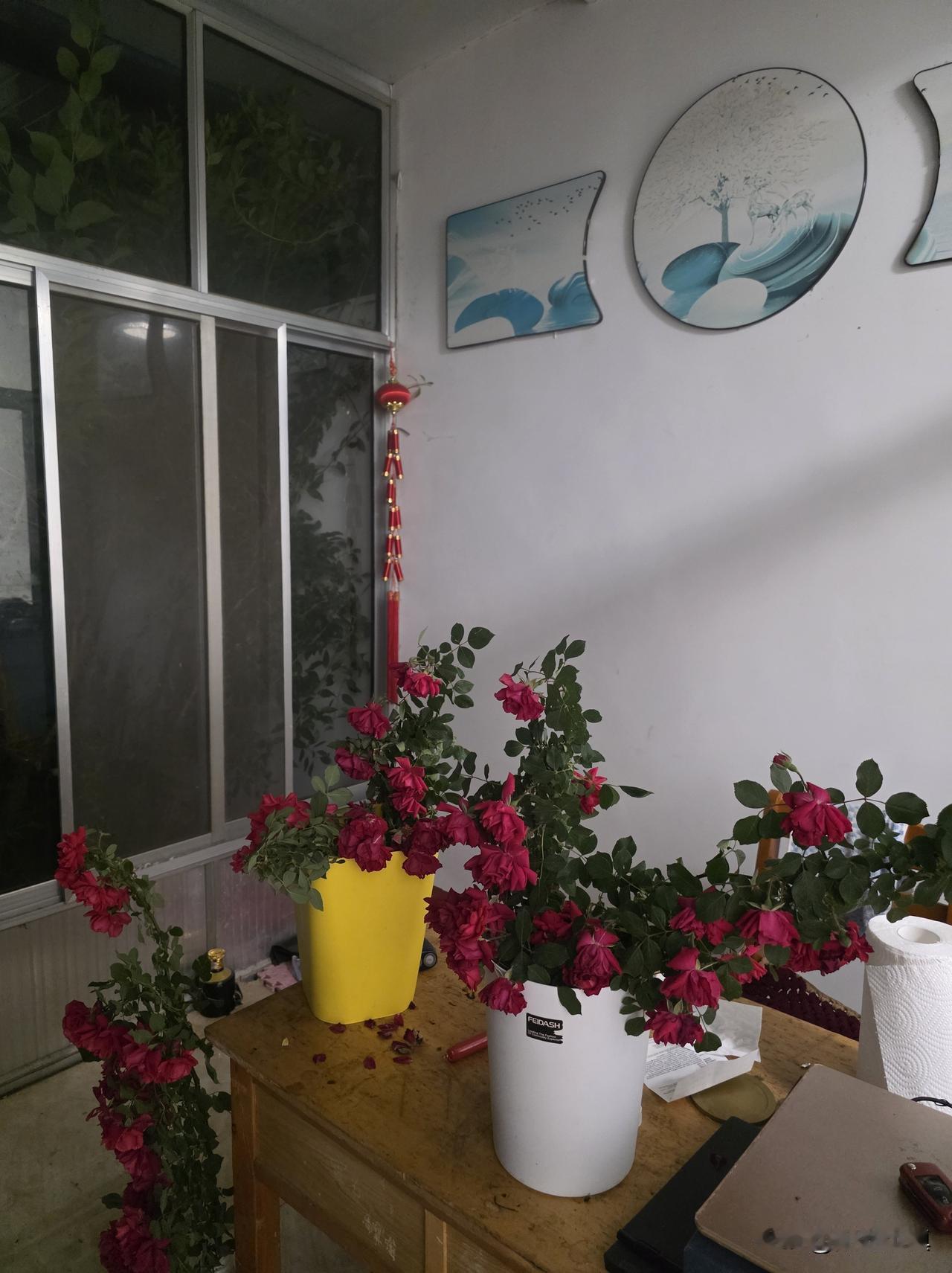 今晚忽然很难过：预报有雨，雨未下，眼已湿……
 
晚上11点，小院静得只有晚风轻