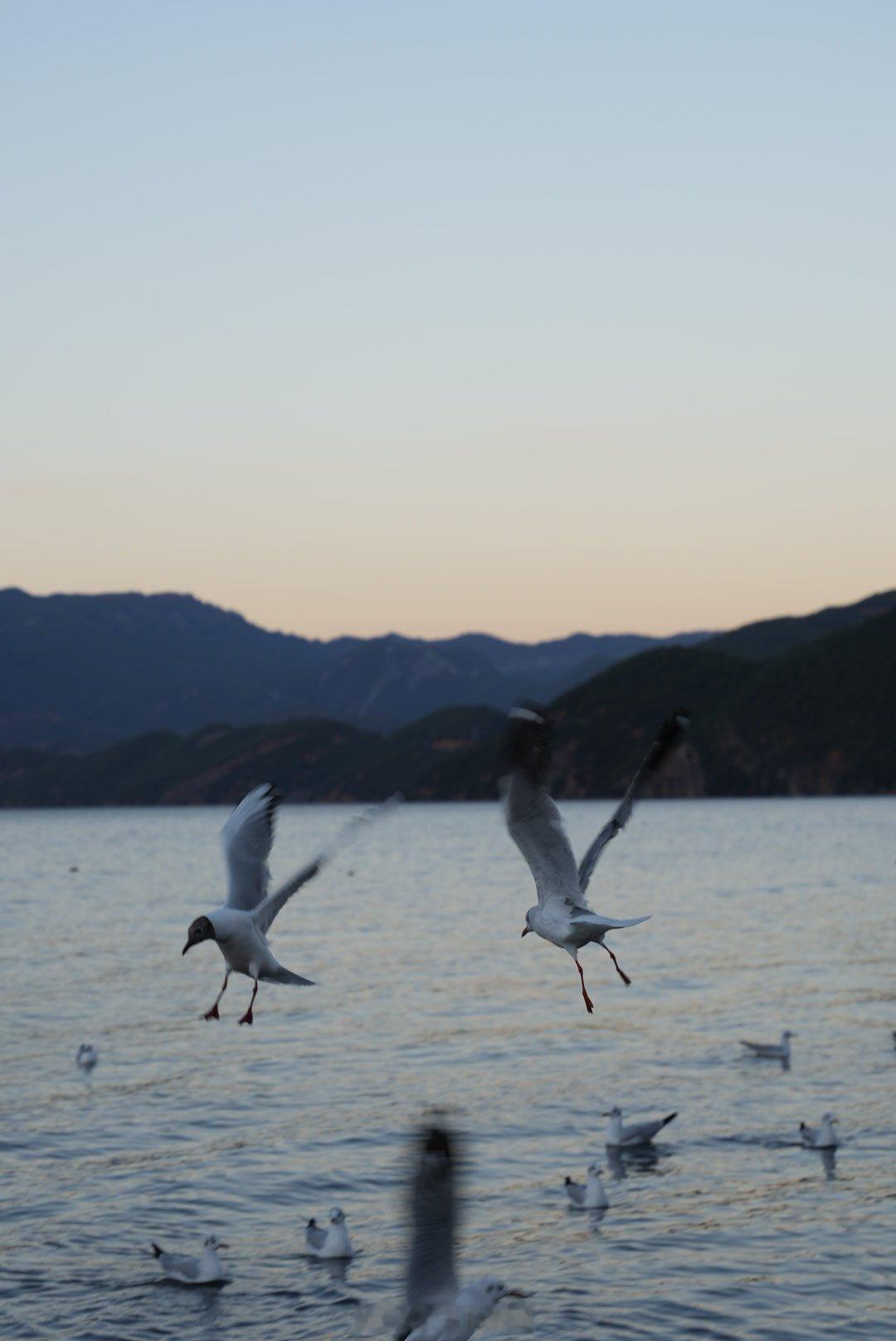 从大理走丽宁公路到泸沽湖，风景太美了在金沙江旁边的峭壁上蜿蜒一路到泸沽湖，看看从