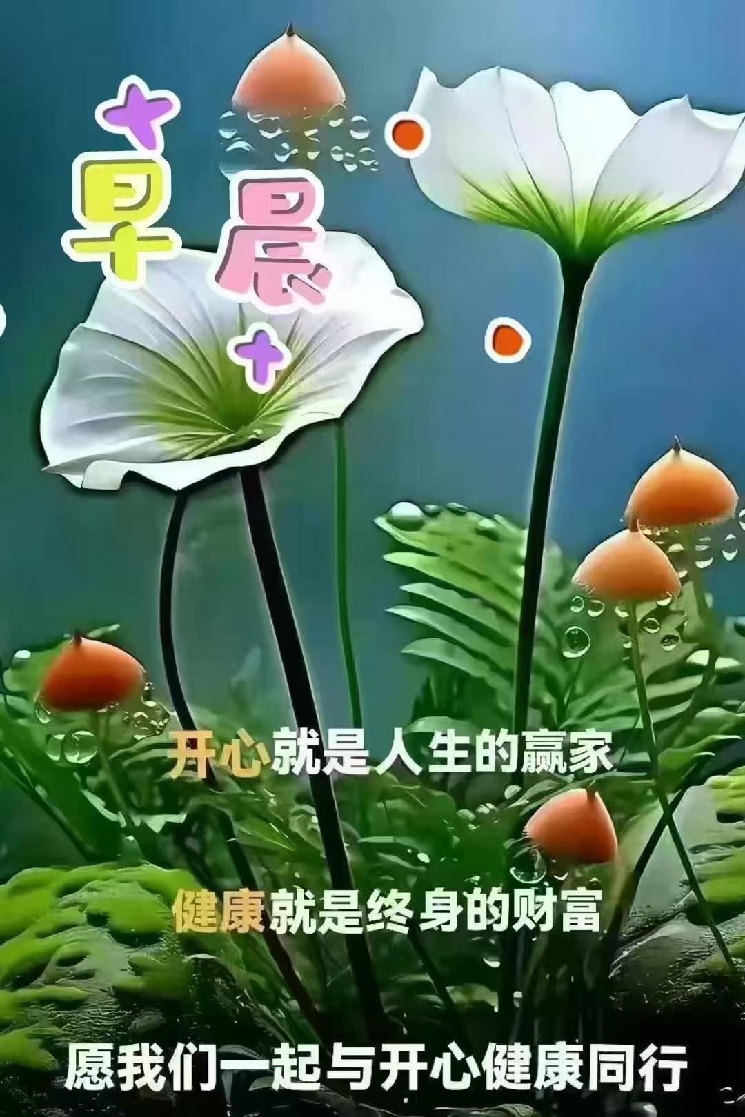 培养管理者思维是一个循序渐进的过程，关键在于持续学习和实践。首先，建议多阅读管理