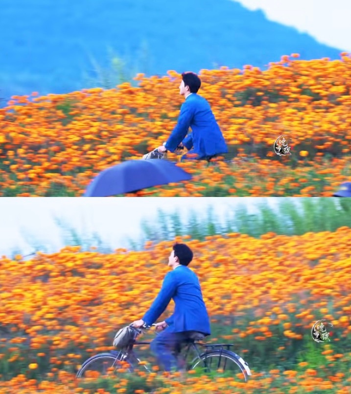 太美了555555555555555 ​​​