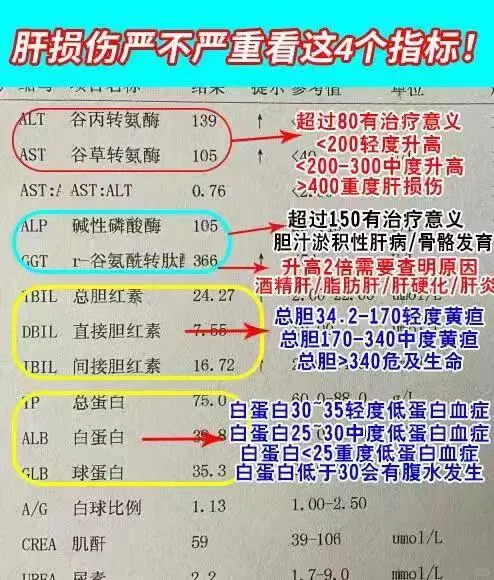 肝损伤严不严重看这4个指标！