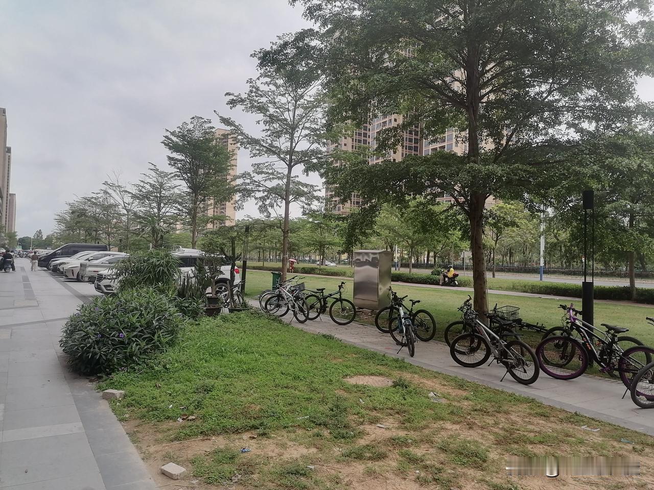 宽宽的大马路，两边有辅道、绿化带、人行道，不用说这条路建的时间还不长，越早建的老