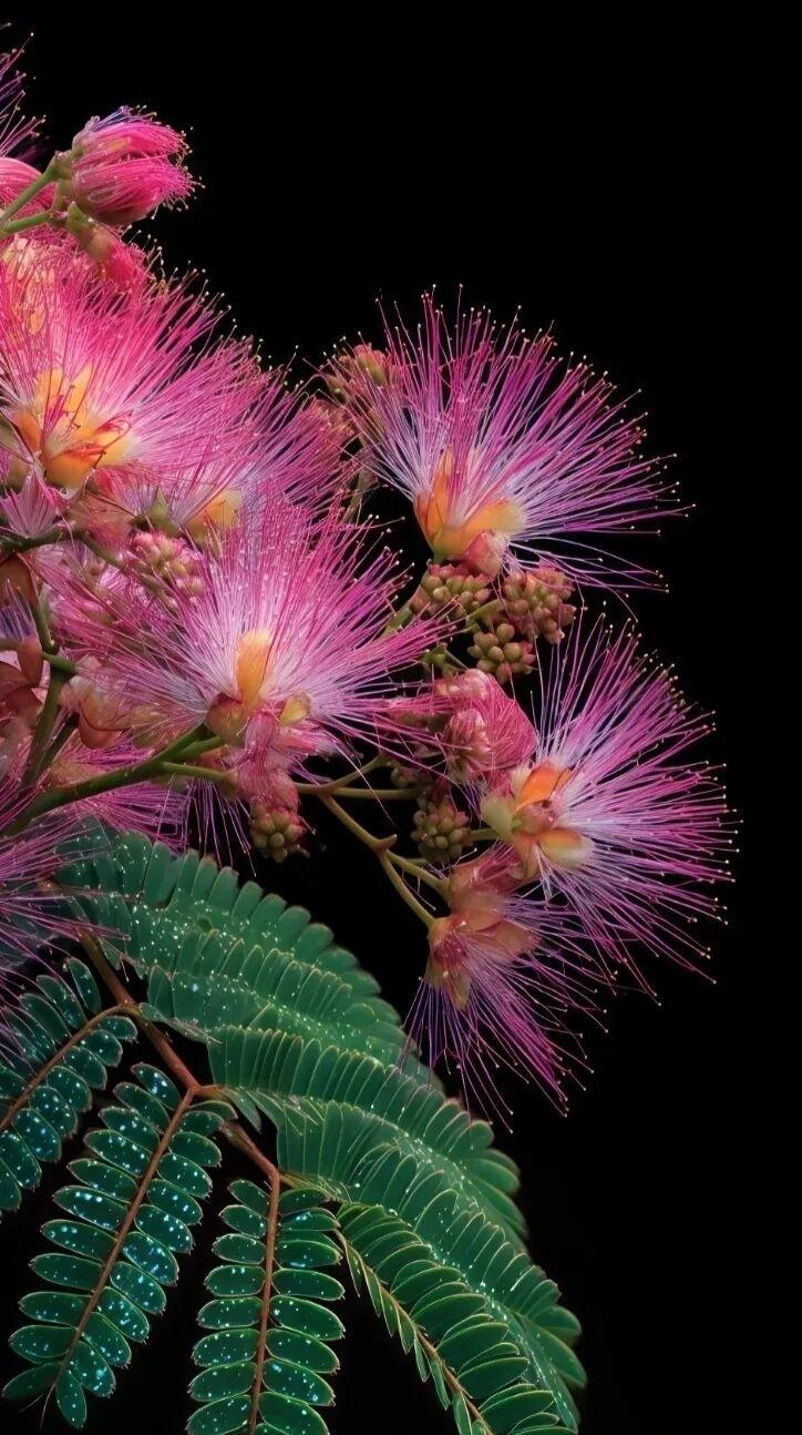 为什么要看破不说破?看破不说破，是给别人留体面、给自己留余地，也是对人情世故的体