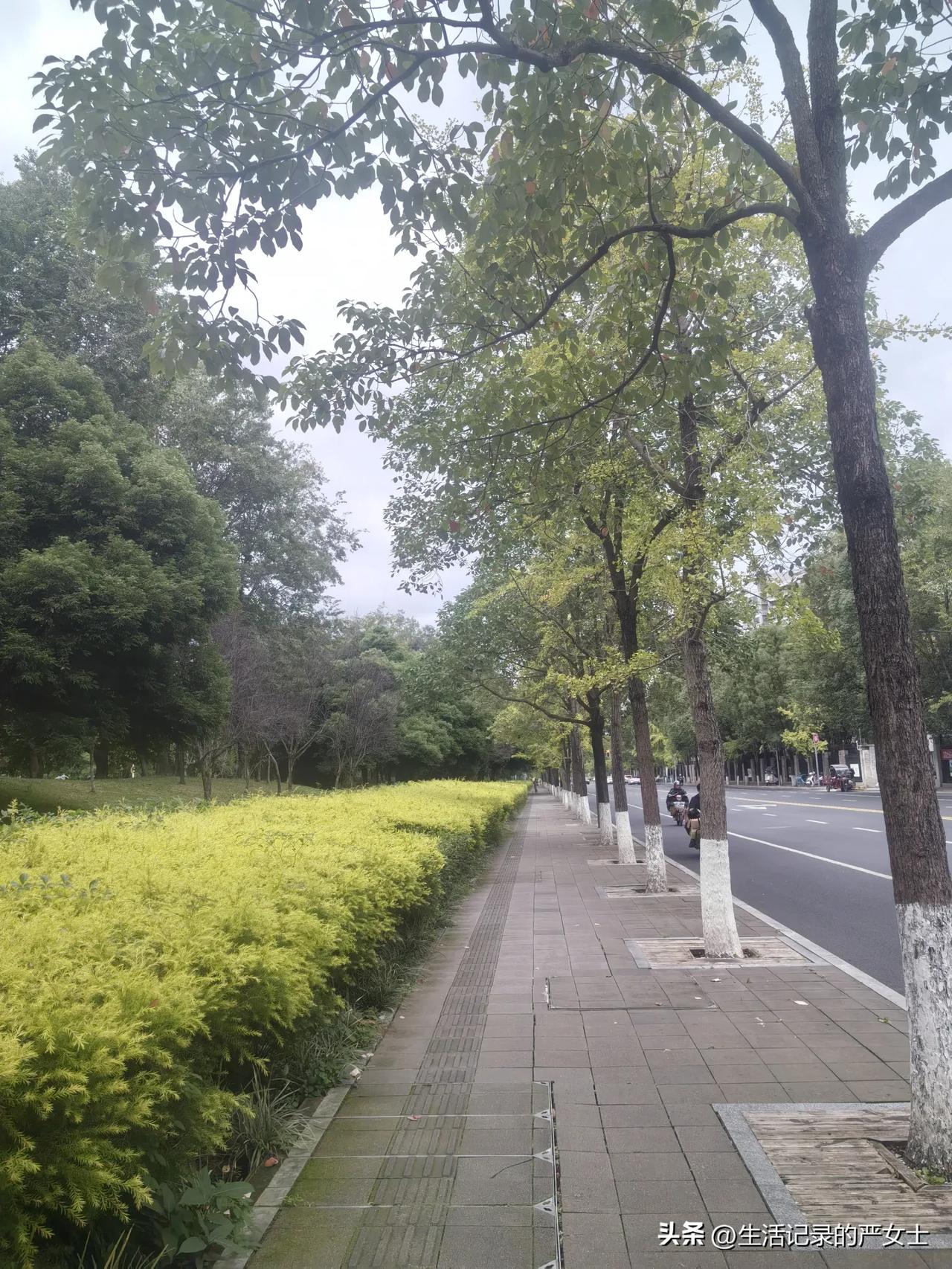 55岁的我，每天生活是这样过的：

1、早上7点20起床，早餐基本上是一个鸡蛋、